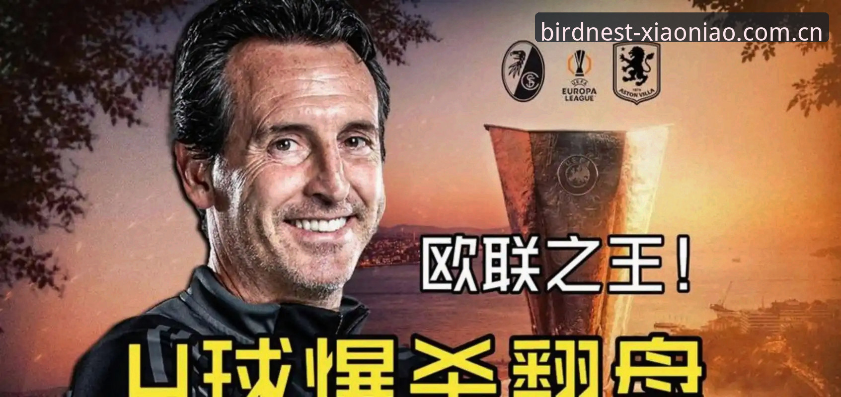 埃梅里第5次称霸欧联杯：从维拉夺冠到完整复盘教程